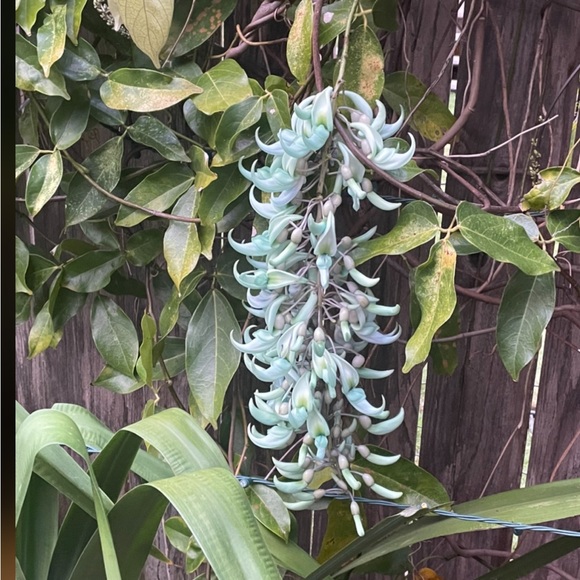 🌞🌺✨……….. - Picture 16 of 16